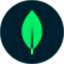 Log in | MongoDB