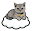 懒猫云