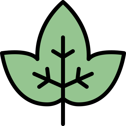Ivy Labs