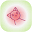 激活 | Koipy