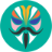 Magisk Module
