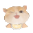 【QD-Today】自建私有自动签到服务 | 爱吃肉的猫