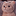 猫猫云