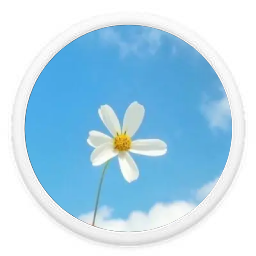 myhome