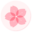 樱花随机二次元图片API-樱花