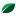 Fontex